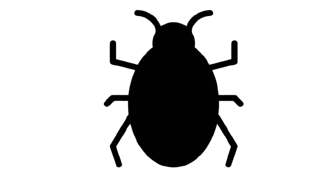 Bed Bug Control