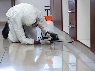 Technician AL ZAIN Pest Control